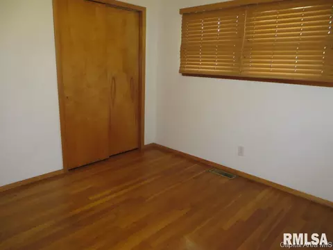 45 Birch Dr, Chatham, IL 62629 photo 23
