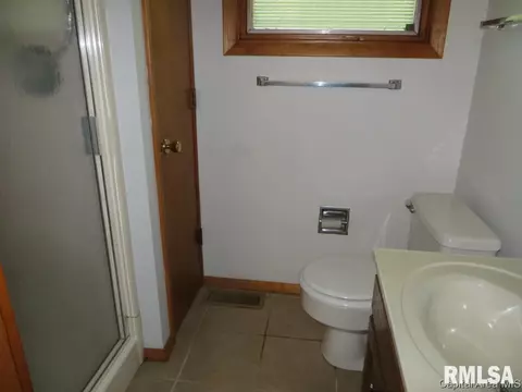 45 Birch Dr, Chatham, IL 62629 photo 28