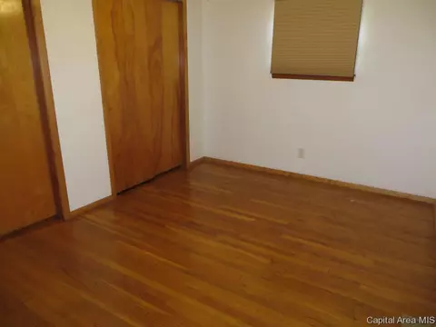 45 Birch Dr, Chatham, IL 62629 photo 21