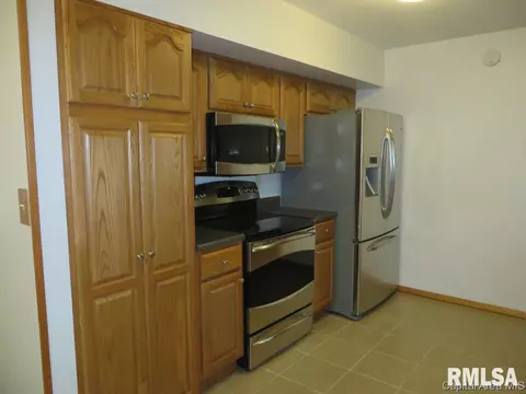 45 Birch Dr, Chatham, IL 62629 photo 11