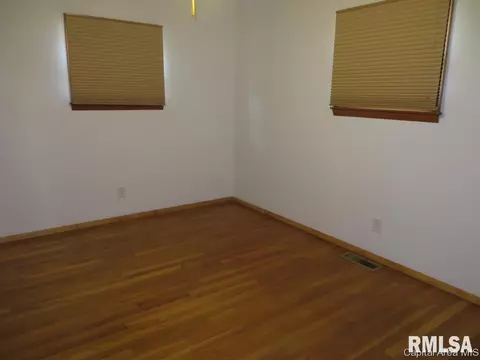 45 Birch Dr, Chatham, IL 62629 photo 19