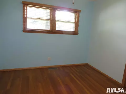 45 Birch Dr, Chatham, IL 62629 photo 24