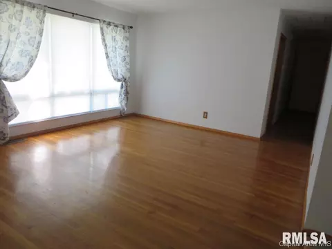 45 Birch Dr, Chatham, IL 62629 photo 10