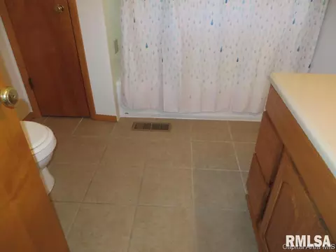 45 Birch Dr, Chatham, IL 62629 photo 26