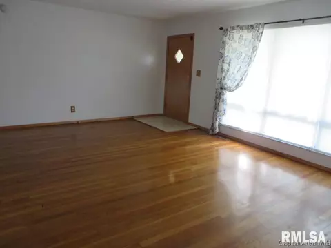 45 Birch Dr, Chatham, IL 62629 photo 9
