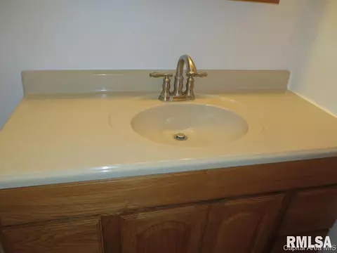 45 Birch Dr, Chatham, IL 62629 photo 27