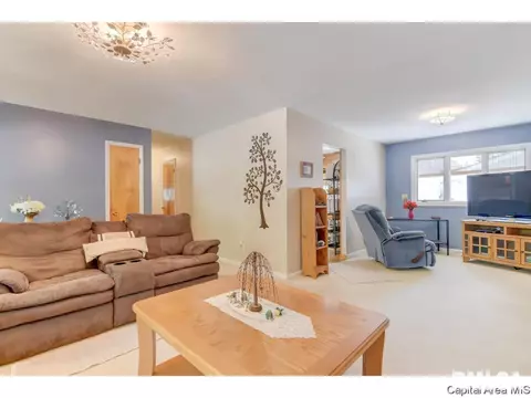 127 Dickinson Rd, Springfield, IL 62704 photo 3