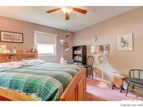 127 Dickinson Rd, Springfield, IL 62704 photo 23