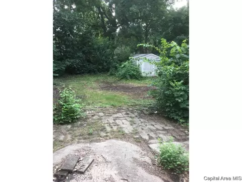 1532 N Stephens Ave, Springfield, IL 62702 photo 11