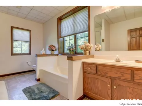 520 Appomattox, Springfield, IL 62711 photo 14