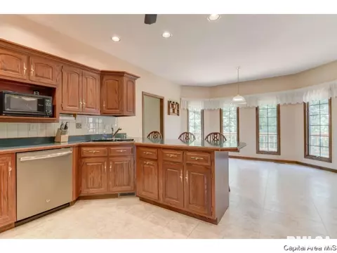 520 Appomattox, Springfield, IL 62711 photo 2