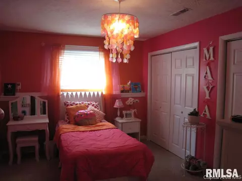 47 Frontier Lake Dr, Springfield, IL 62707 photo 17