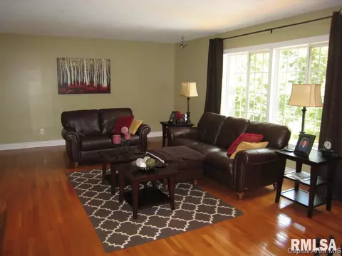 47 Frontier Lake Dr, Springfield, IL 62707 photo 6