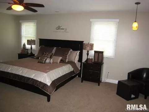 47 Frontier Lake Dr, Springfield, IL 62707 photo 10