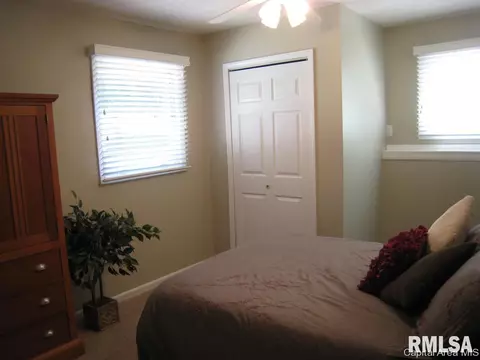47 Frontier Lake Dr, Springfield, IL 62707 photo 29