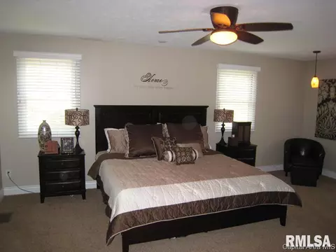 47 Frontier Lake Dr, Springfield, IL 62707 photo 9