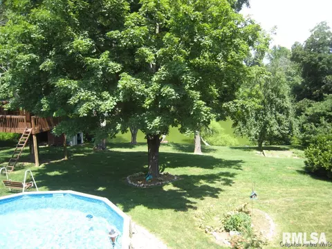 47 Frontier Lake Dr, Springfield, IL 62707 photo 23