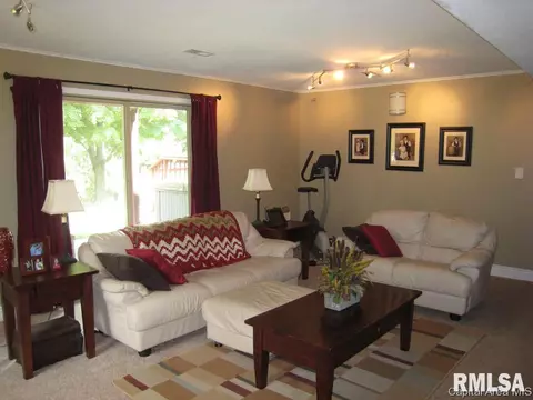 47 Frontier Lake Dr, Springfield, IL 62707 photo 13