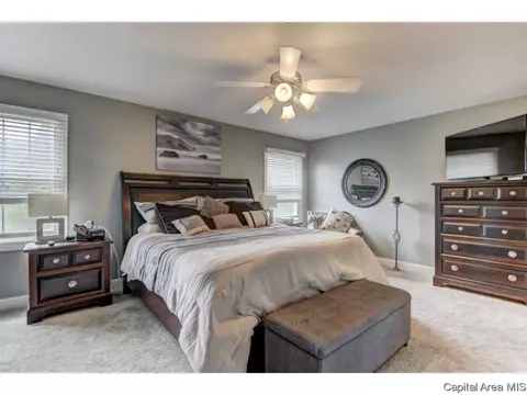 459 Chris Dr, Springfield, IL 62711 photo 18