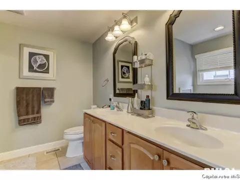 459 Chris Dr, Springfield, IL 62711 photo 20