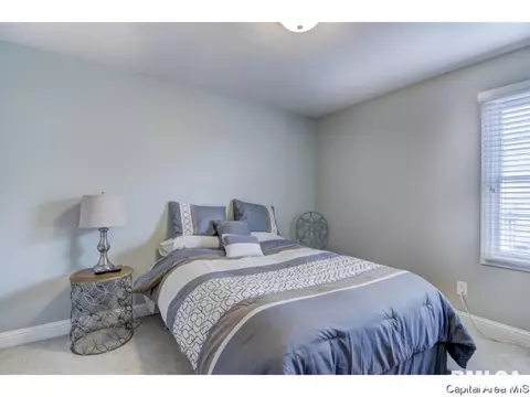 459 Chris Dr, Springfield, IL 62711 photo 17