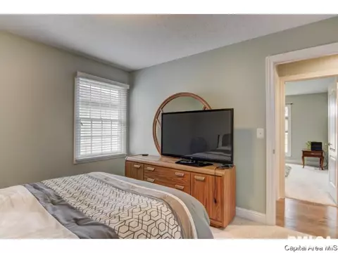 459 Chris Dr, Springfield, IL 62711 photo 15