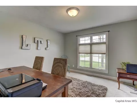 459 Chris Dr, Springfield, IL 62711 photo 12