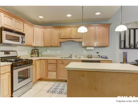 459 Chris Dr, Springfield, IL 62711 photo 3