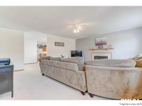 3917 Mccormick Dr, Springfield, IL 62707 photo 22