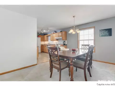 3917 Mccormick Dr, Springfield, IL 62707 photo 25