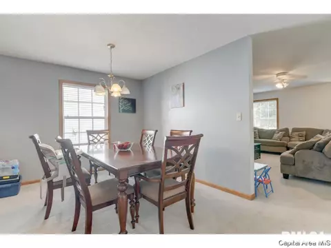 3917 Mccormick Dr, Springfield, IL 62707 photo 26