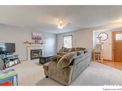3917 Mccormick Dr, Springfield, IL 62707 photo 33