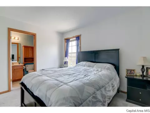 3917 Mccormick Dr, Springfield, IL 62707 photo 19