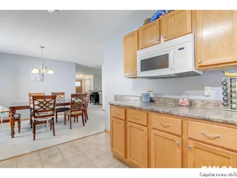 3917 Mccormick Dr, Springfield, IL 62707 photo 27