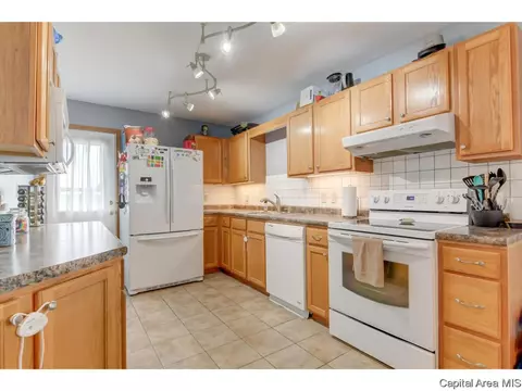3917 Mccormick Dr, Springfield, IL 62707 photo 30