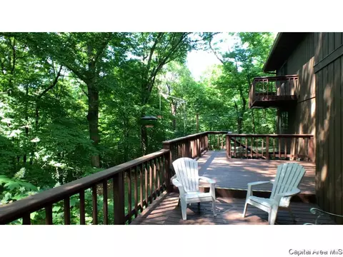 3 Ottowood Dr, Springfield, IL 62711 photo 27