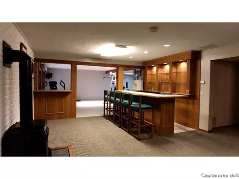 3 Ottowood Dr, Springfield, IL 62711 photo 23