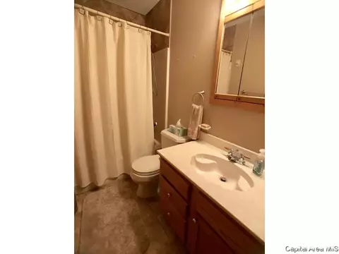 3 Ottowood Dr, Springfield, IL 62711 photo 21