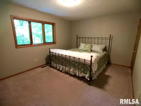 3 Ottowood Dr, Springfield, IL 62711 photo 18