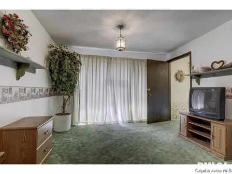 717 N Osburn Ave, Springfield, IL 62702 photo 28