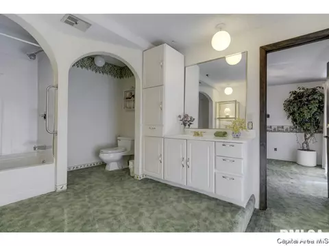 717 N Osburn Ave, Springfield, IL 62702 photo 26