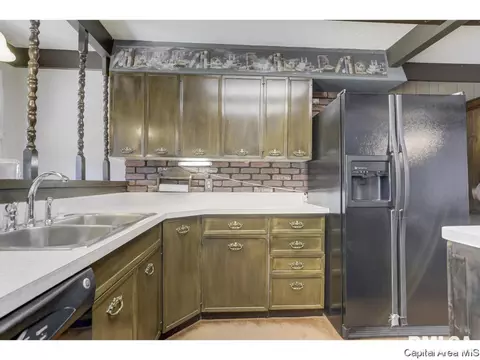 717 N Osburn Ave, Springfield, IL 62702 photo 16