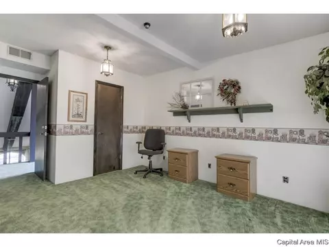 717 N Osburn Ave, Springfield, IL 62702 photo 29
