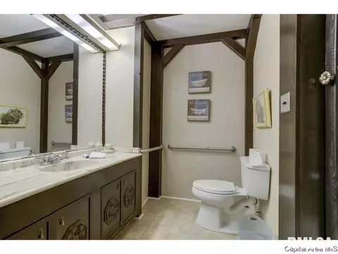 717 N Osburn Ave, Springfield, IL 62702 photo 21