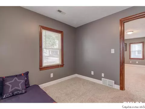 412 N Daniel Ave, Springfield, IL 62702 photo 24