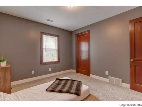 412 N Daniel Ave, Springfield, IL 62702 photo 19