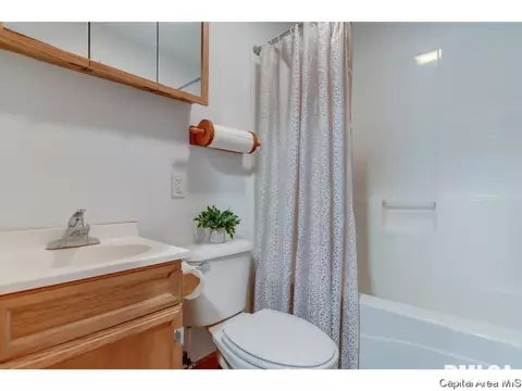 412 N Daniel Ave, Springfield, IL 62702 photo 21