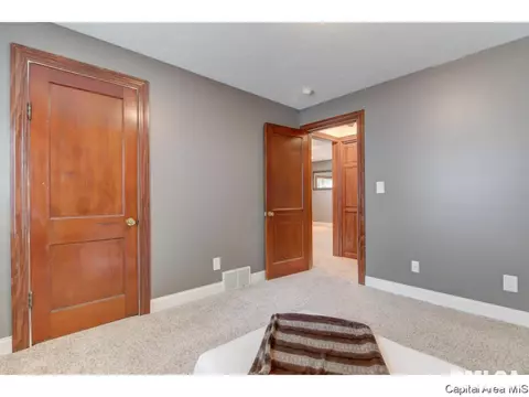 412 N Daniel Ave, Springfield, IL 62702 photo 18