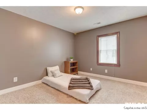 412 N Daniel Ave, Springfield, IL 62702 photo 17