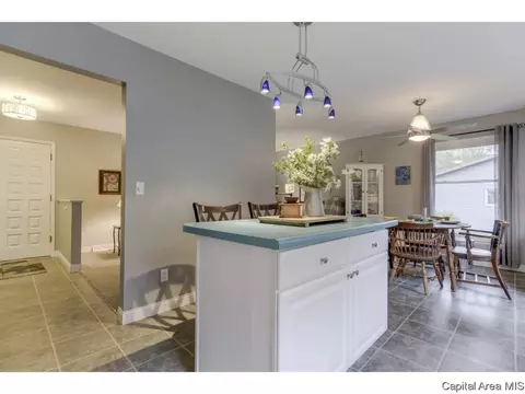 47 Cheyenne Dr, Springfield, IL 62711 photo 12